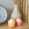 Hộp đựng phụ kiện Cupcake Resin | Life Cube